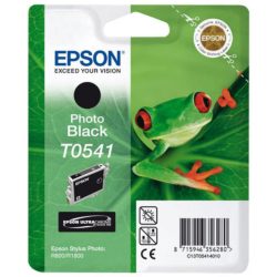Epson Frog T0541 Ultrachrome Ink, Ink Cartridge, Photo Black Single Pack, C13T05414010